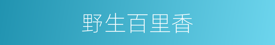 野生百里香的同义词