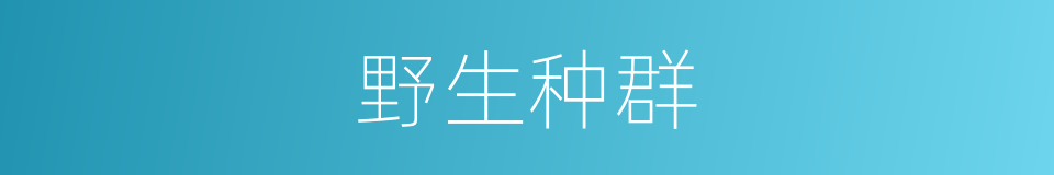 野生种群的同义词