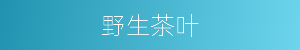 野生茶叶的同义词