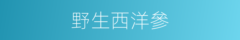 野生西洋參的同義詞