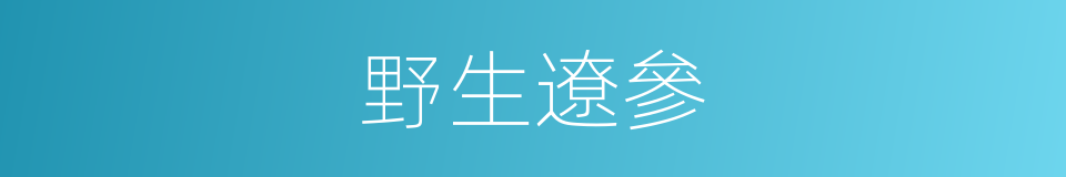 野生遼參的同義詞