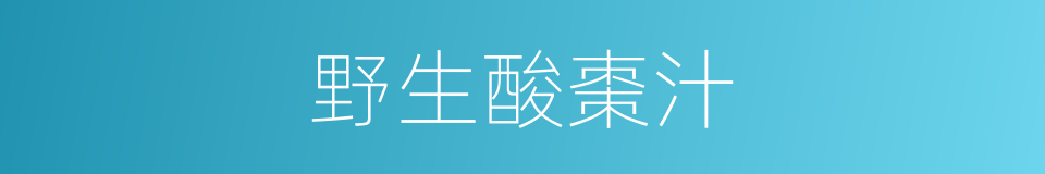 野生酸棗汁的同義詞