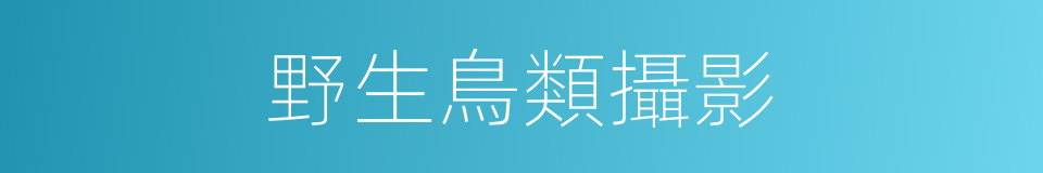 野生鳥類攝影的同義詞