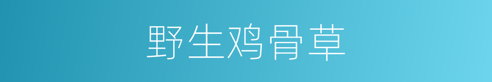 野生鸡骨草的同义词