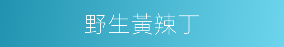 野生黃辣丁的同義詞