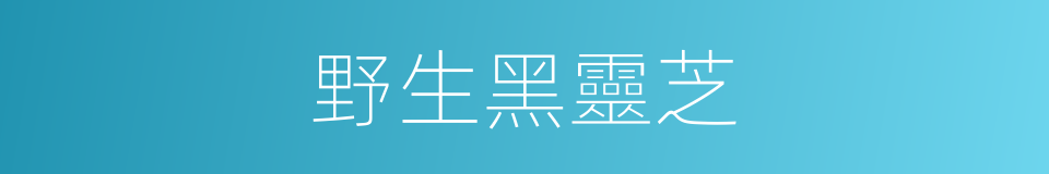 野生黑靈芝的同義詞