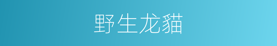 野生龙貓的同義詞