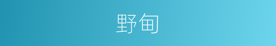 野甸的意思