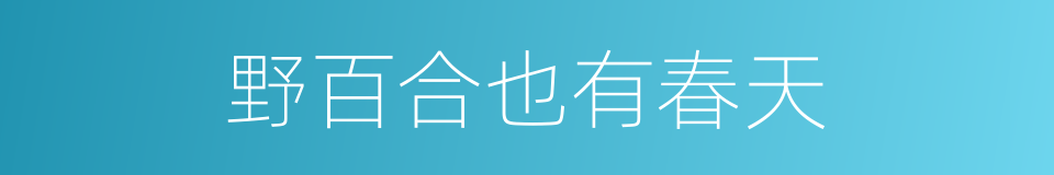 野百合也有春天的同义词