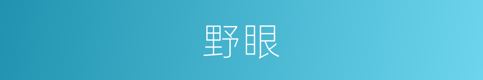 野眼的意思