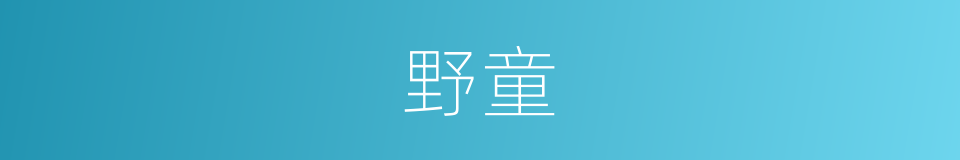 野童的意思