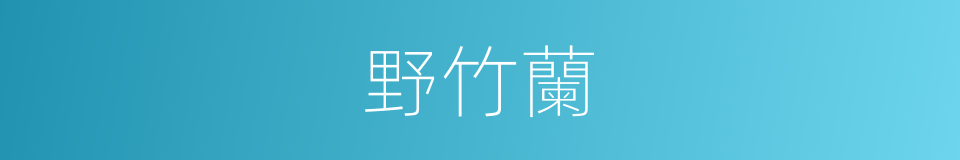 野竹蘭的同義詞