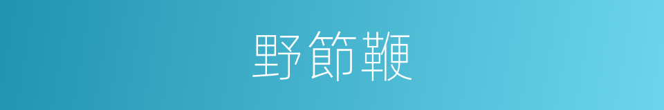 野節鞭的同義詞