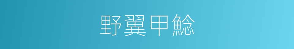 野翼甲鯰的同義詞