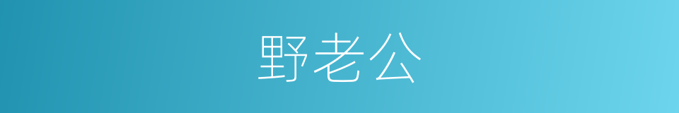 野老公的意思