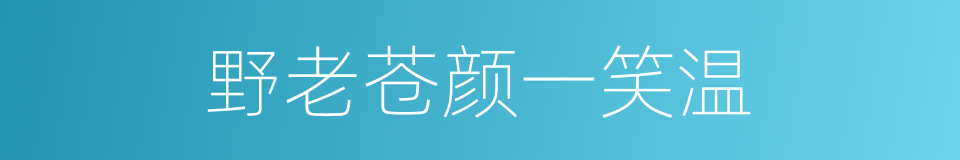 野老苍颜一笑温的同义词