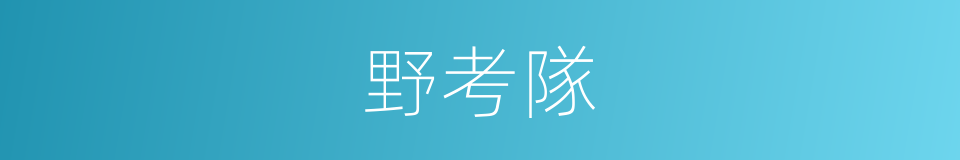 野考隊的同義詞