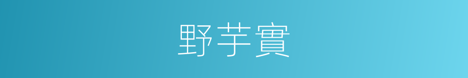 野芋實的同義詞
