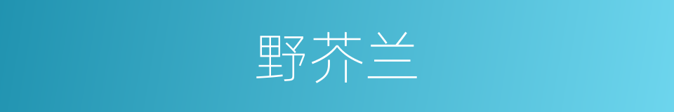 野芥兰的同义词