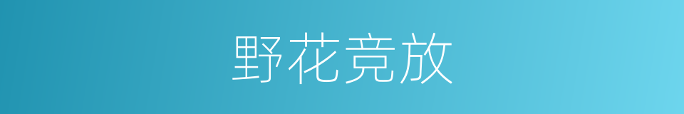 野花竞放的同义词
