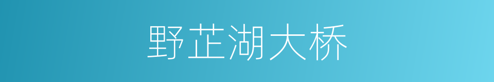 野芷湖大桥的同义词