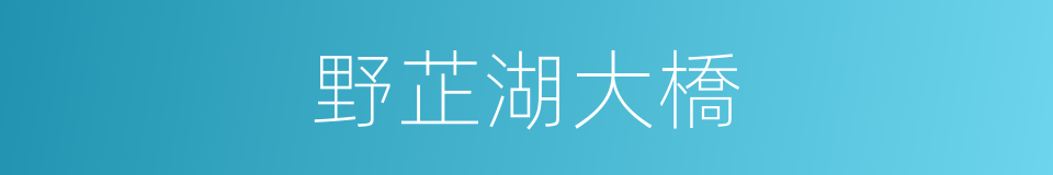 野芷湖大橋的同義詞