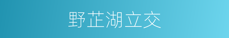 野芷湖立交的同义词