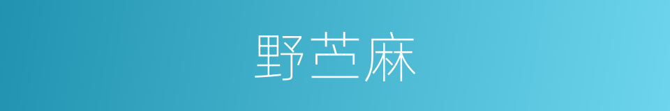 野苎麻的同义词
