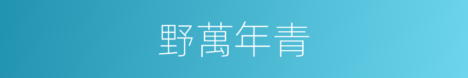 野萬年青的同義詞