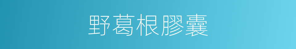 野葛根膠囊的同義詞