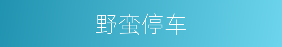 野蛮停车的同义词