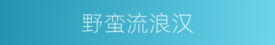 野蛮流浪汉的同义词