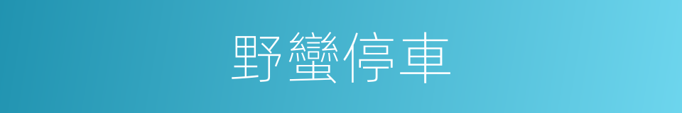 野蠻停車的同義詞