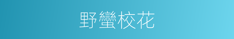 野蠻校花的同義詞