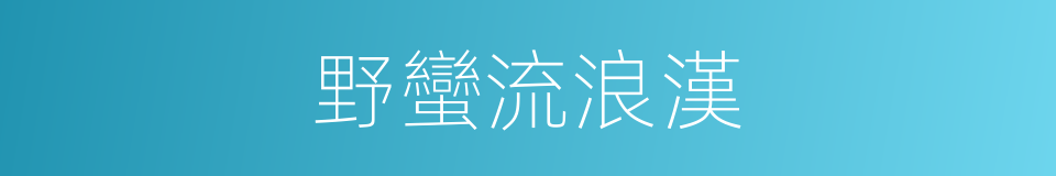 野蠻流浪漢的同義詞