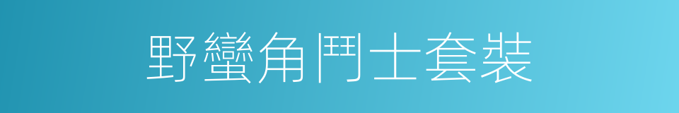 野蠻角鬥士套裝的同義詞