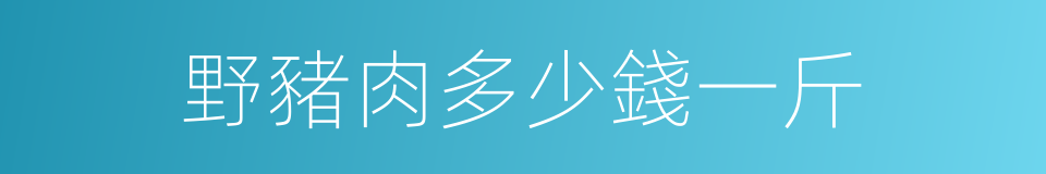 野豬肉多少錢一斤的同義詞