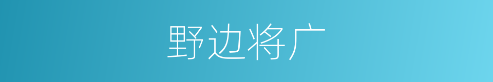 野边将广的同义词