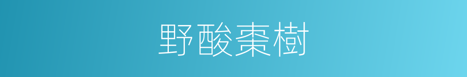 野酸棗樹的同義詞