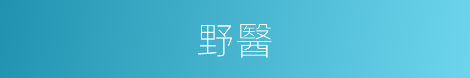 野醫的同義詞