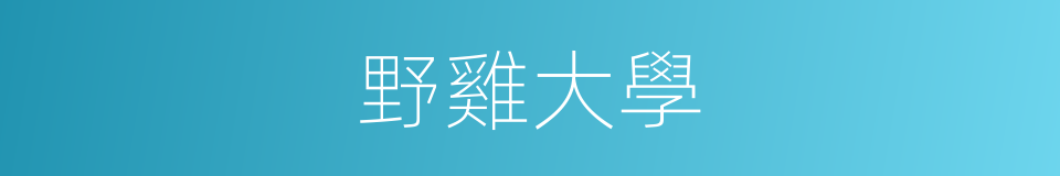 野雞大學的意思