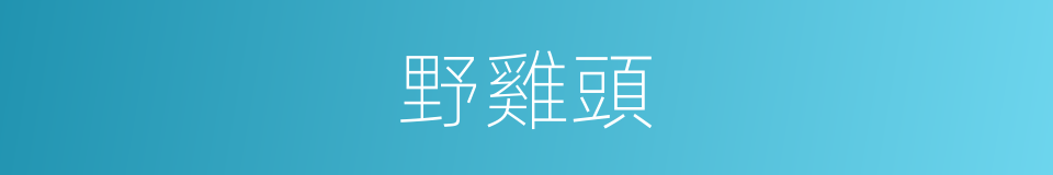 野雞頭的意思