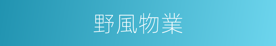 野風物業的同義詞