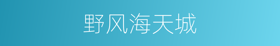 野风海天城的同义词