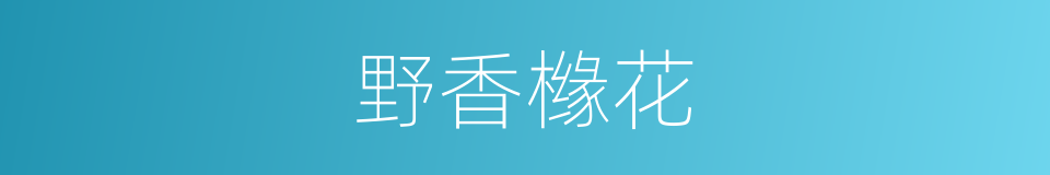 野香橼花的同义词