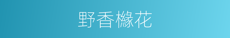野香櫞花的同義詞