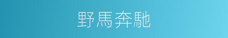 野馬奔馳的同義詞