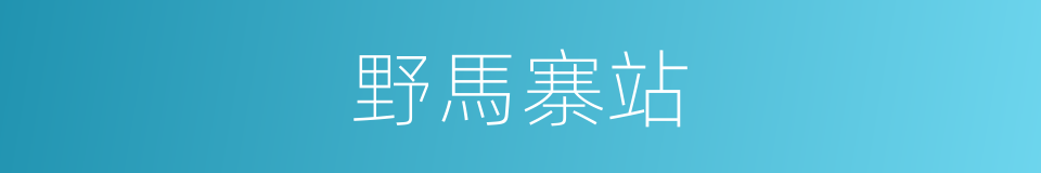 野馬寨站的同義詞