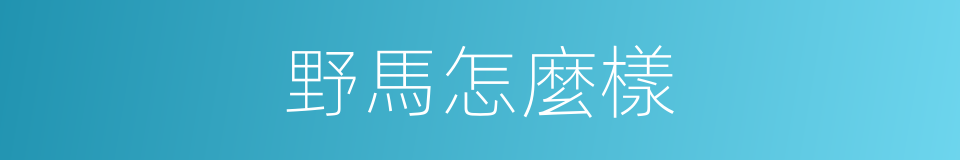 野馬怎麼樣的同義詞