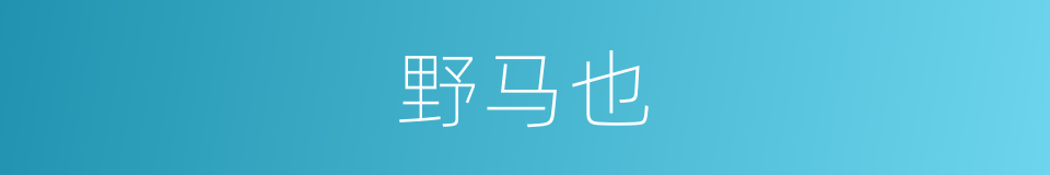 野马也的同义词